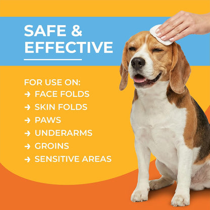 Paw Science 3% Chlorhexidine Wipes for Dogs and Cats - Cleansing Antiseptic, Antibacterial, Antifungal Wipes with Aloe for Skin Infections, Itchy Yeast Paws, Cat Acne6