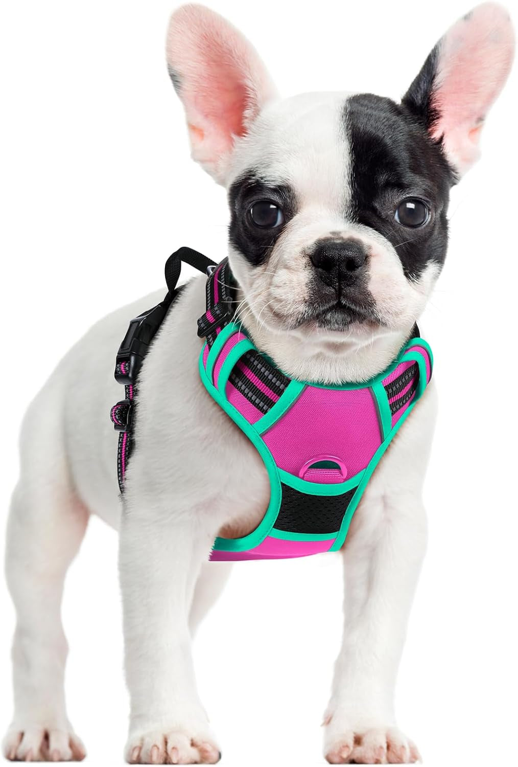 rabbitgoo-dog-harness-no-pull-for-large-dogs-with-2-leash-clips-pet-vest-no-choke-with-handle-adjustable-soft-padded-reflective-easy-control-for-walking-black-large