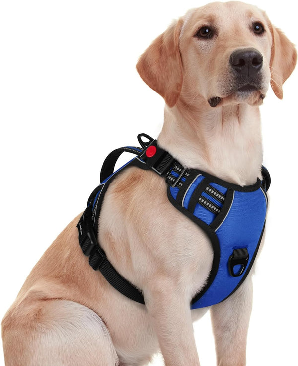Rabbitgoo Large Dog Harness, Easy Wear with 3 Buckles and Lift Handle | No Pull with Front Clip for Walking, Adjustable Soft Padded, Reflective, Easy Control, Pink, Large27