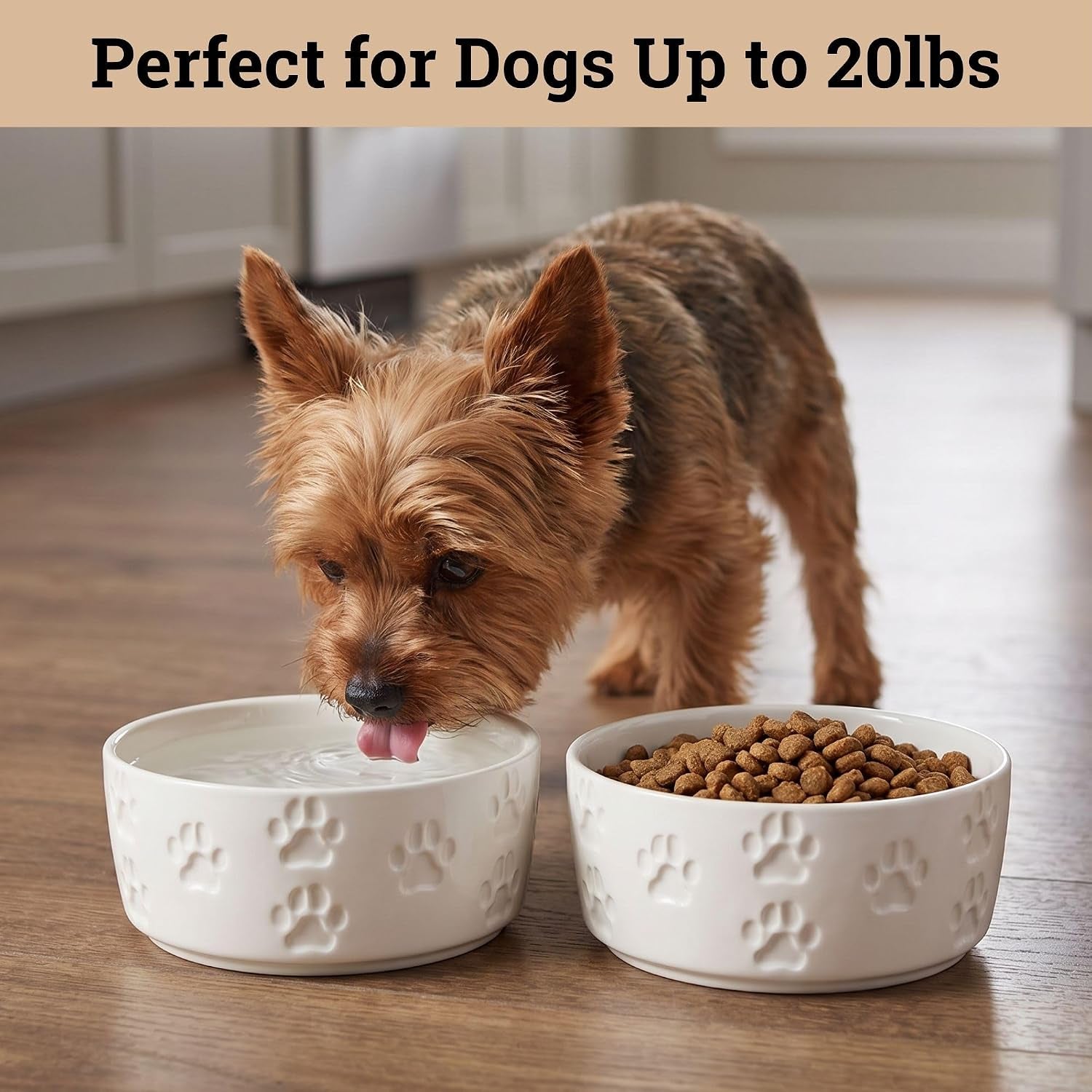 ceramic-dog-bowl-set-of-2-with-anti-skid-base-5-5w-x-2h-2-cup-capacity-thick-ceramic-dishwasher-safe-anti-skid-rubber-base-2-cups-per-bowl-ceramic-food-and-water-bowls-set-of-2-for-small-dogs