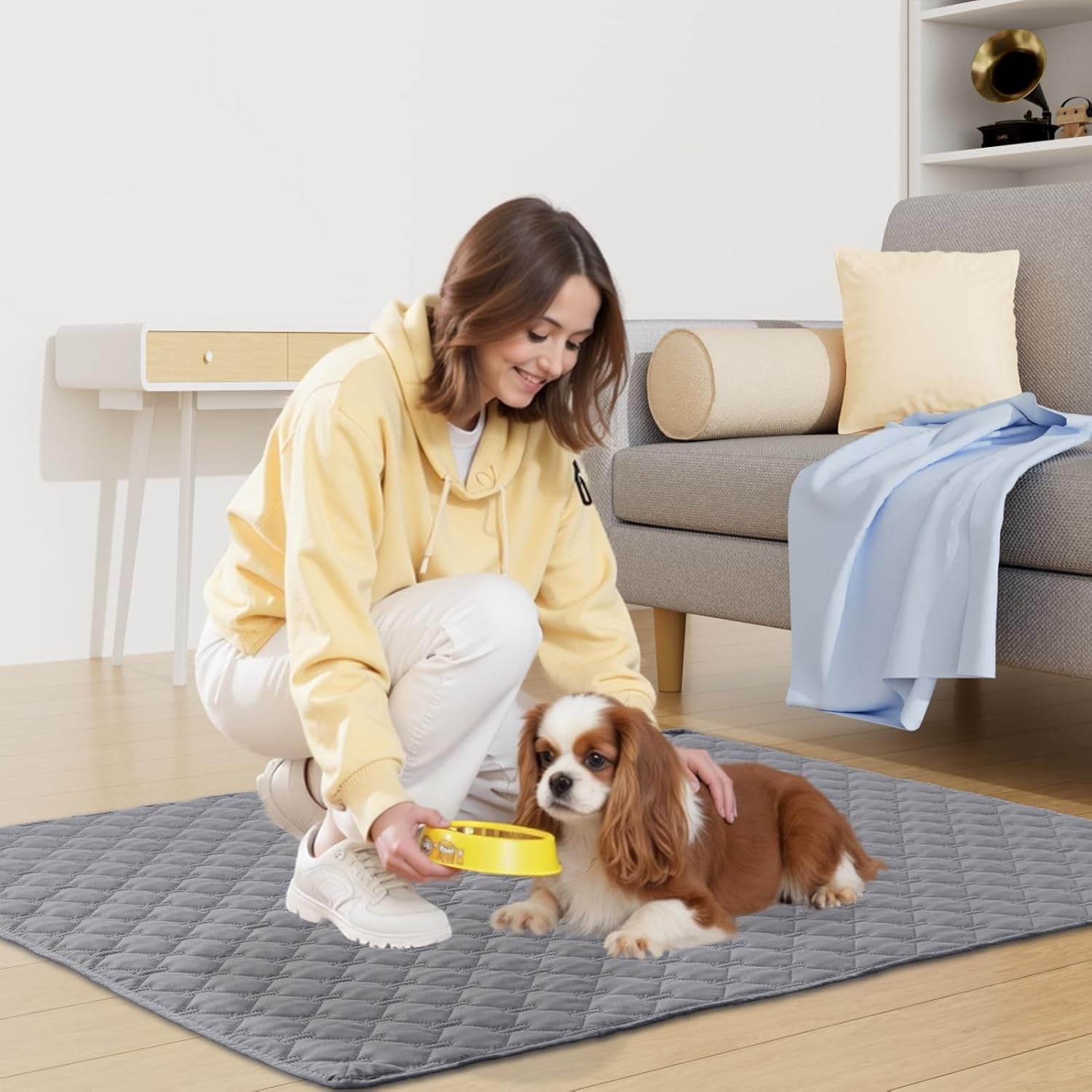 smiry-waterproof-dog-bed-cover-blanket-reversible-pet-blanket-soft-reversible-washable-leakproof-cats-dogs-couch-cover-for-sofa-couch-furniture-30x70-inch