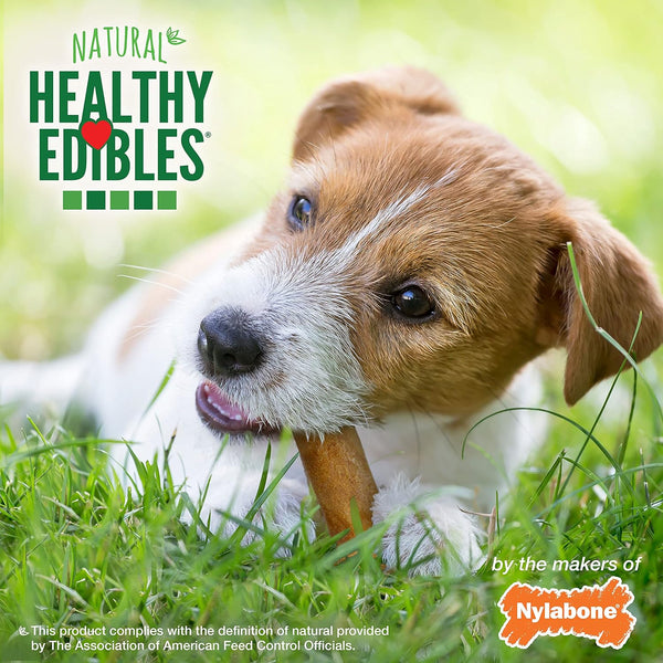 Nylabone Healthy Edibles Dog Treats Variety Pack, Small, 3 Count | Roast Beef, Chicken, & Bacon Flavor, Natural Dog Treats, USA Made, Highly Digestible, Dog Bones for Small Dogs up to 25 Lbs6