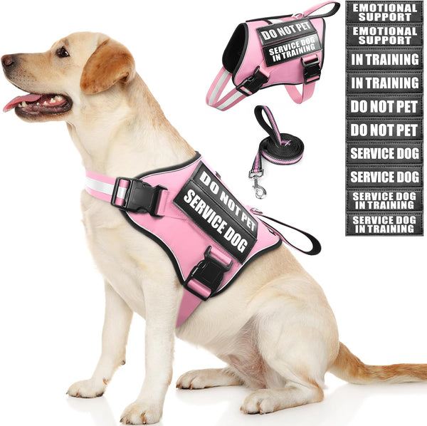 Service Dog Vest Harness and Leash Set+10 Patches,No Pull&Adjustable Reflective Dog Harness with Soft Padded Handle for Training/Everyday,Fit Small/Medium/Large/Extra-Large Dogs(Red XL) | No Pull&Adjustable Reflective Service Dog Harness Large Sized,Dog Leash with 2 Soft Padded Handles,For Training Working11