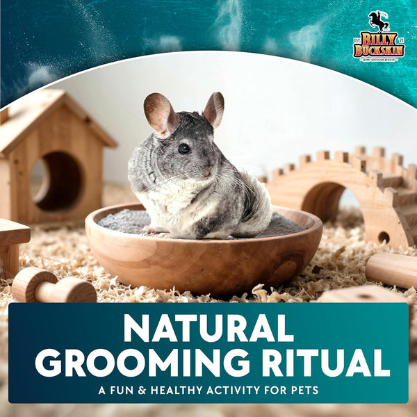 3 LB. Chinchilla Dust Bath Jar - Pure Cleansing Pumice Sand Dust for Cleaning Small Pets like Gerbils, Mice, Degu - Premium, All Natural Dusting Powder - Chinchilla Accessories by Billy Buckskin7