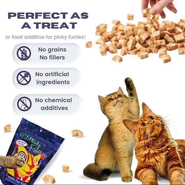 Wildside Salmon Cat Treats - 3 Oz2