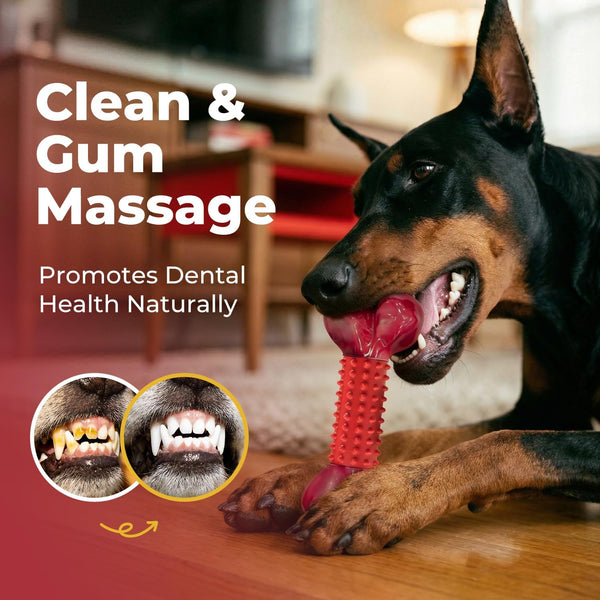 Tough Dog Toys for Aggressive Chewers: Beef Flavored Long Lasting Dog Bones for Large Dogs, Indestructible Dog Chew Toys to Keep Them Busy, Large Dog Toys for Medium & Large Breed, Red6