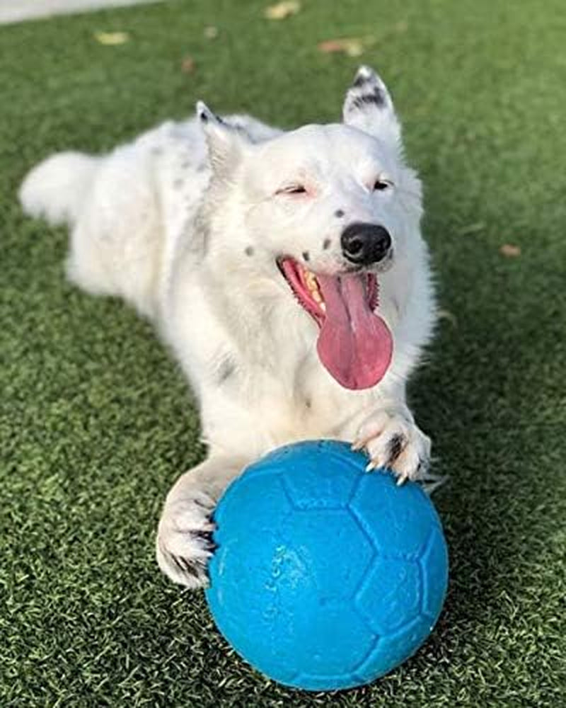 jolly-pets-large-soccer-ball-floating-bouncing-dog-toy-8-inch-diameter-ocean-blue-large-8-inch-durable-dog-soccer-ball-for-dogs-60-to-90-lbs-wont-deflate-when-punctured-floats-for-water-play-made-in-usa