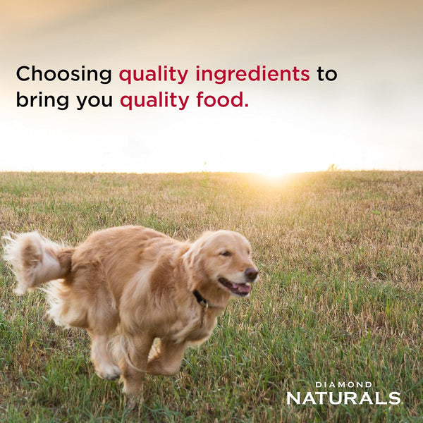 Diamond Naturals Large Breed Puppy Dry Dog Food, Lamb & Rice, 40Lb | Puppy, Adult & Senior Dogs | Nutrient Levels to Fuel Larger Growing Bodies | DHA for Proper Brain & Vision Development5