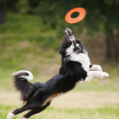 Nerf Dog Atomic Flyer Outdoor Dog Toy, 10 Inch Flying Disc Dog Fetch Toy, Rubber Dog Toy for Medium Dogs and Large Dogs, Orange8