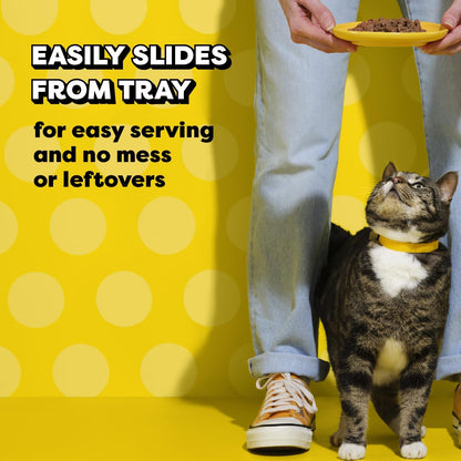 Temptations Bites in Gravy Wet Cat Food, Variety Pack, 3.5 Oz, 36 Count | Chicken, Seafood Medley, Backyard Cookout, Catnip Fever, No Artificial Flavors, 3.5 Oz. Trays, 100% Complete & Balanced6