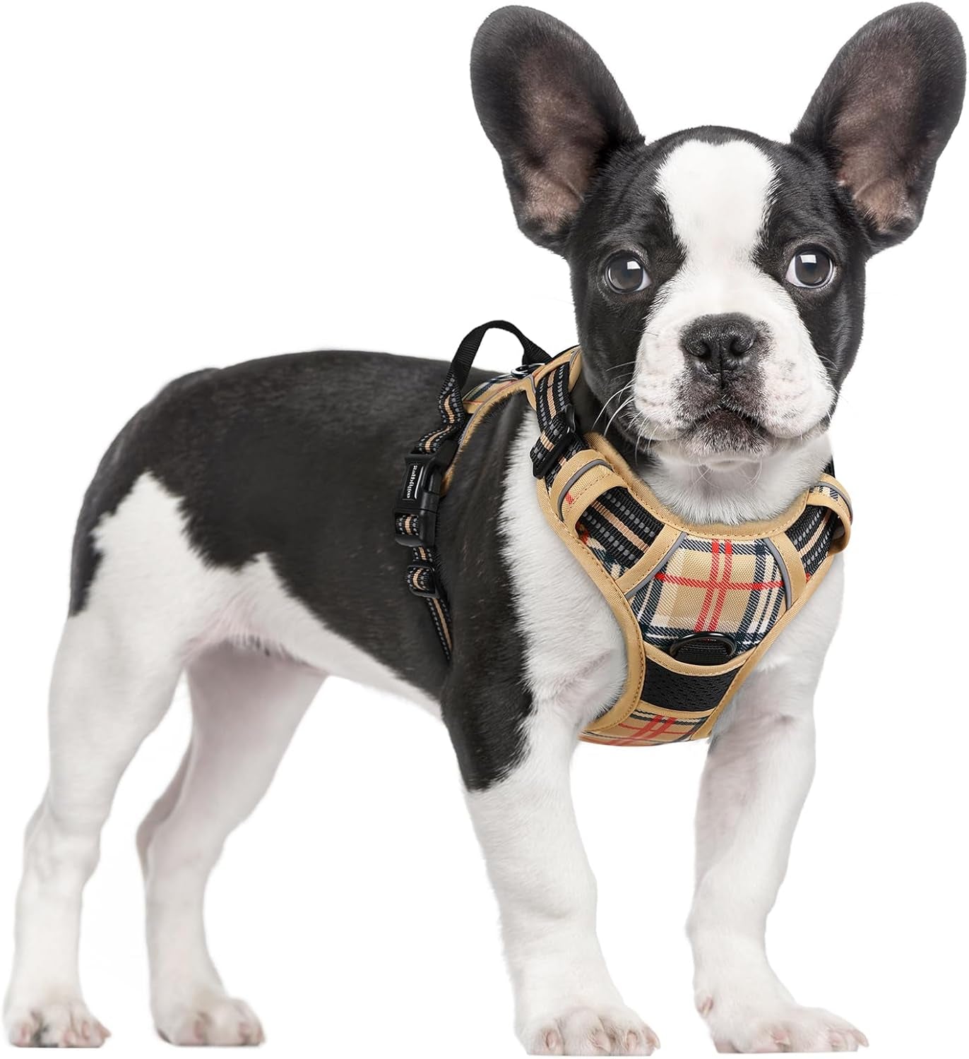 rabbitgoo-dog-harness-no-pull-for-large-dogs-with-2-leash-clips-pet-vest-no-choke-with-handle-adjustable-soft-padded-reflective-easy-control-for-walking-black-large