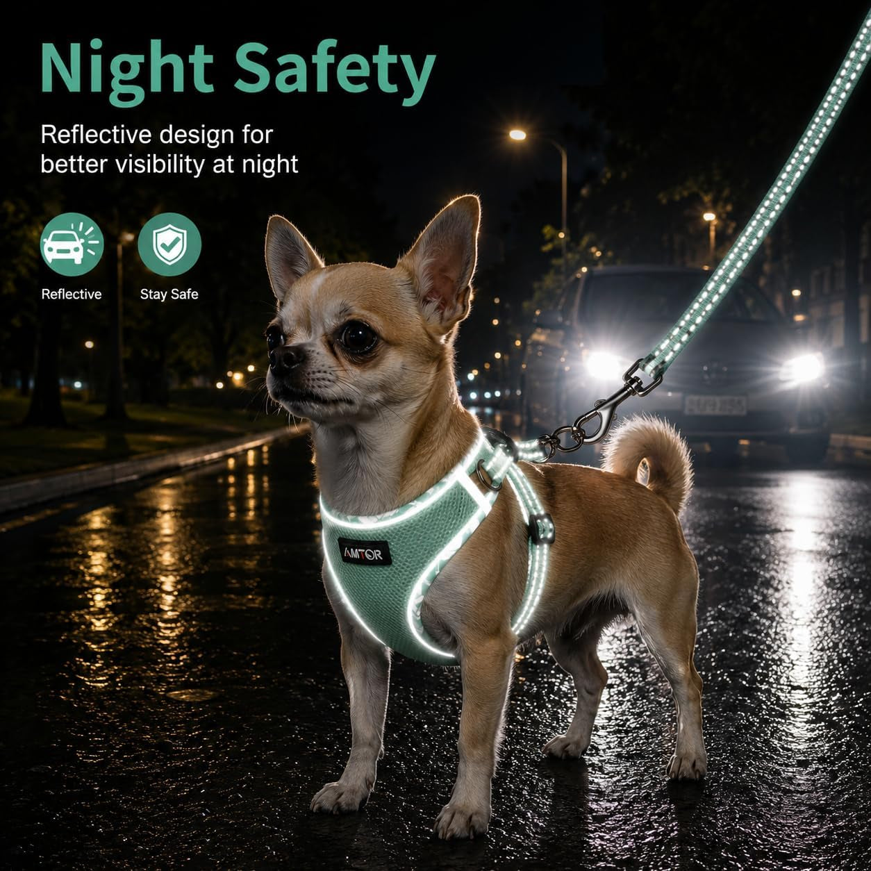amtor-small-dog-harness-with-leash-set-no-escape-easy-walk-puppy-harnesses-for-training-walking-step-in-reflective-soft-dogs-vest-for-xs-s-medium-extra-small-large-sized-doggreen-s