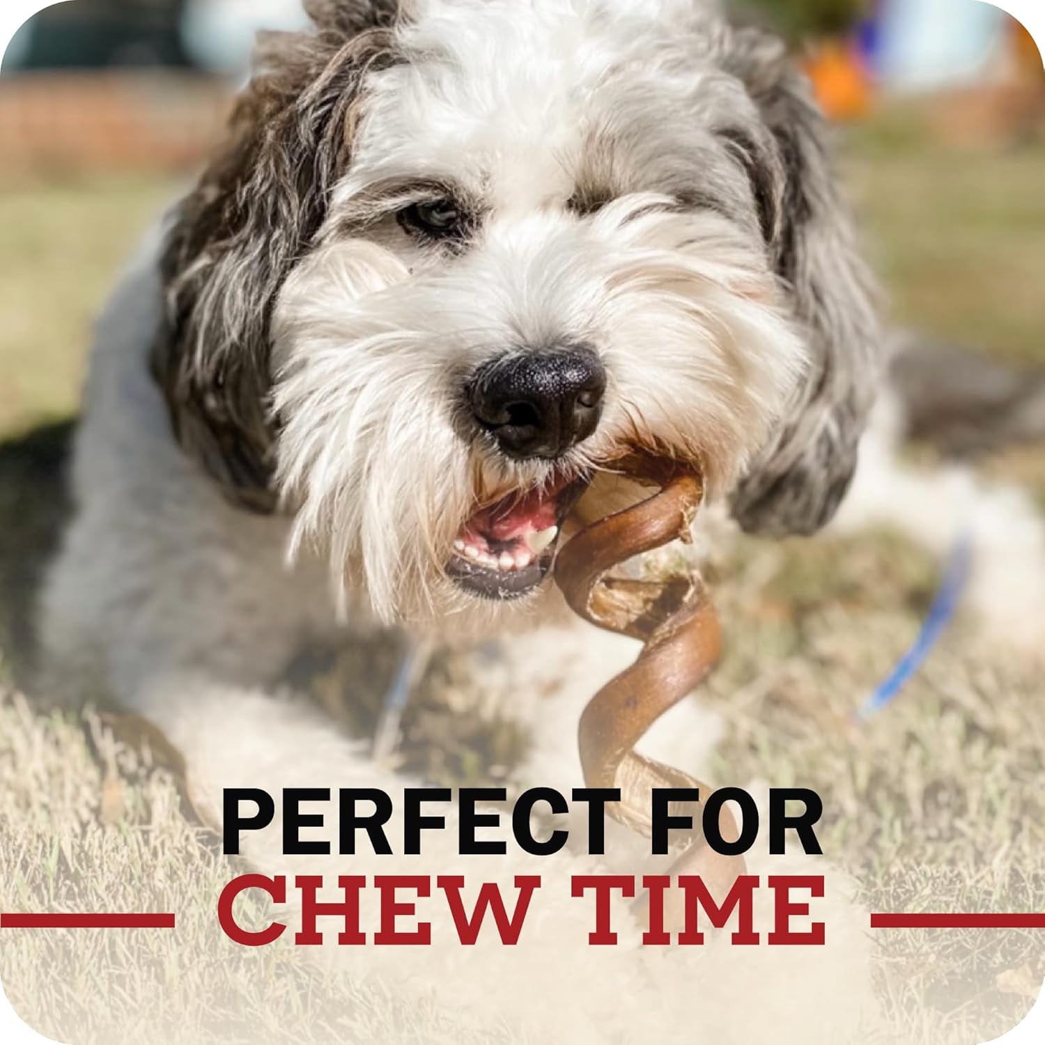 redbarn-premium-bully-sticks-for-dogs-7-inch-6-count-long-lasting-rawhide-free-slow-roasted-low-odor-highly-digestible-single-ingredient-chews-all-natural-dental-treats-for-chewers