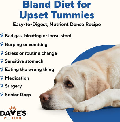 Dave'S Pet Food Bland Diet Dog Food (Chicken & Rice), Sensitive Stomach, Easy to Digest Pate, Gluten-Free, Digestive Care, Low Fat (6%) Limited Ingredients, Complete & Balanced, 13.2 Oz (Case of 12)2