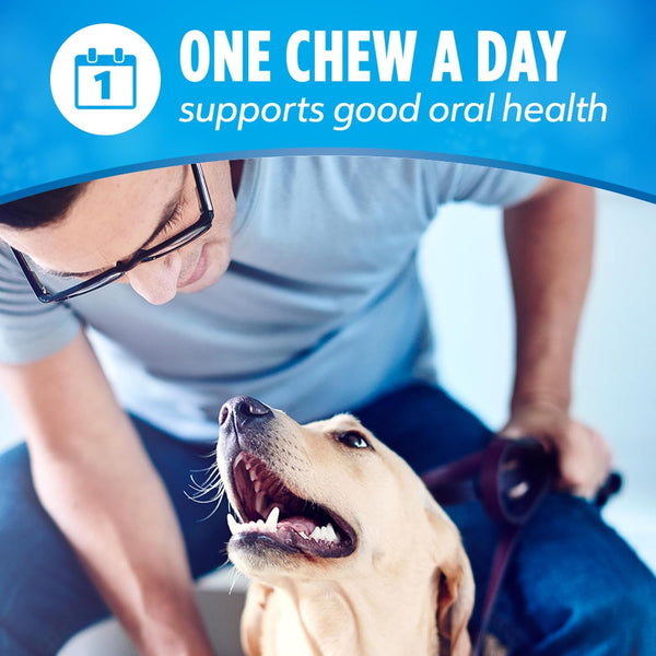 Purina Dentalife Daily Oral Care Large Dog Dental Chews Multipack - (Pack of 2) 30 Ct. Pouches7