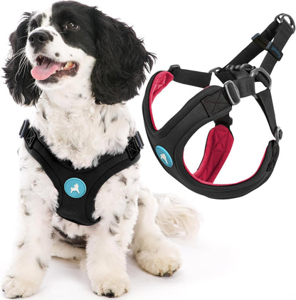 Gooby Escape Free Sport Harness - Red, Medium - No Choke Step-In Patented Neoprene Small Dog Harness with Four-Point Adjustment - Perfect on the Go Dog Harness for Medium Dogs No Pull and Small Dogs10