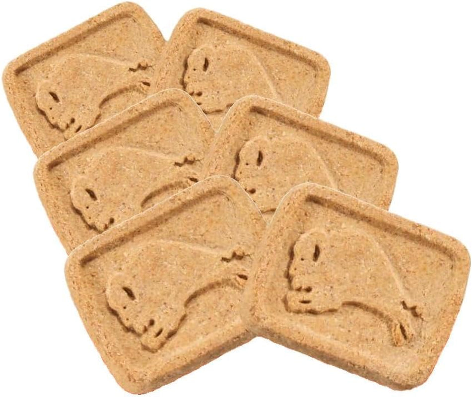 blue-buffalo-health-bars-pumpkin-cinnamon-crunchy-dog-biscuits-oven-baked-with-pumpkin-natural-ingredients-healthy-dog-treats-with-no-artificial-flavors-or-preservatives-16-oz