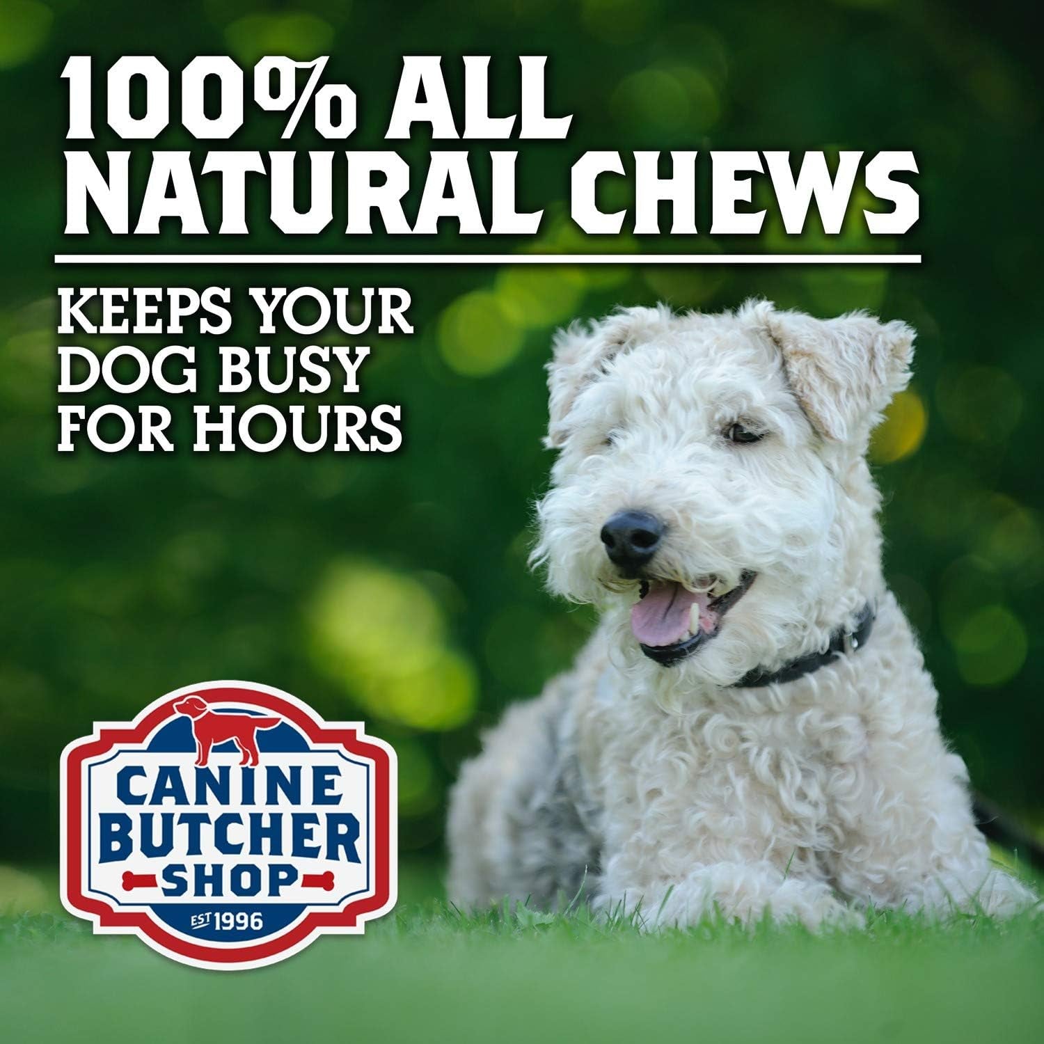 pig-ears-for-dogs-always-usa-made-30-pack-all-natural-sourced-in-usa-pig-ears-digestible-pork-dog-chew-treat-slow-cooked-dried-for-aggressive-chewers-supports-dental-health-satisfies-natural-chewing-instinct-made-in-the-usa