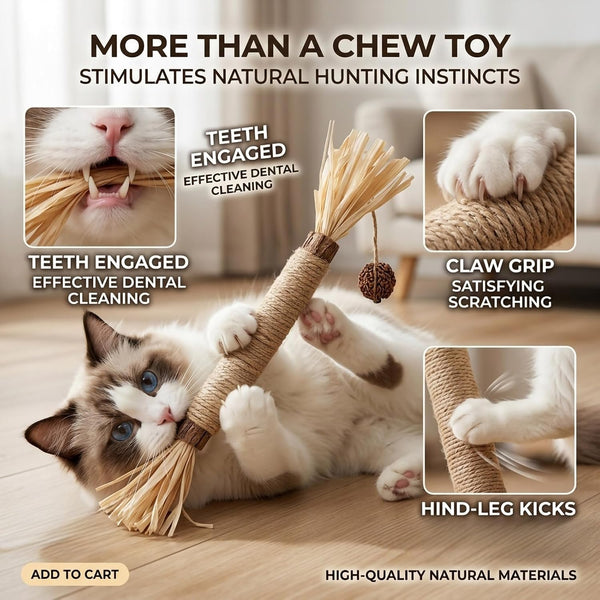 3 Pack Silvervine Cat Chew Sticks - Natural Kitten Toy for Cats2