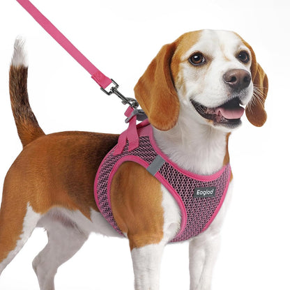 Eagloo Small Dog Harness and Leash Set, Step in Small Sized Puppy Pet Vest | Light, Soft, Breathable Air Mesh, Easy on and off with Hook & Loop, Reflective for Safe Walking, Pink, S43