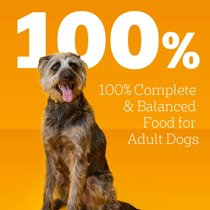 Pedigree Chopped Dinner Wet Dog Food Pouch, Variety Pack, 3.5 Oz, 30 Count | Chicken & Beef, Steam Cooked with Real Animal Protein, No Added Sugar, No Artificial Flavors, Serve as Topper or Meal4