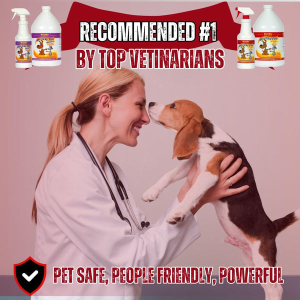 Mister Max anti Icky Poo Pet Urine Enzyme Cleaner, Original Scent, 1 Gallon | Feces Odor Remover, Enzymatic Cleaner for Dog & Cat Urine, Pet Odor Remover Spray5