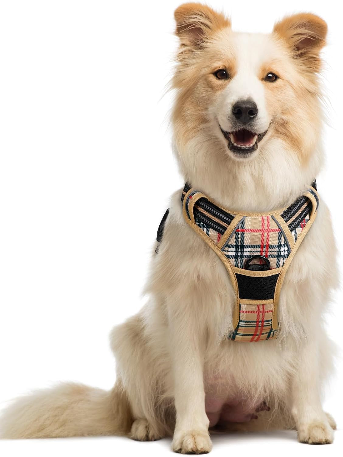 rabbitgoo-dog-harness-no-pull-for-large-dogs-with-2-leash-clips-pet-vest-no-choke-with-handle-adjustable-soft-padded-reflective-easy-control-for-walking-black-large