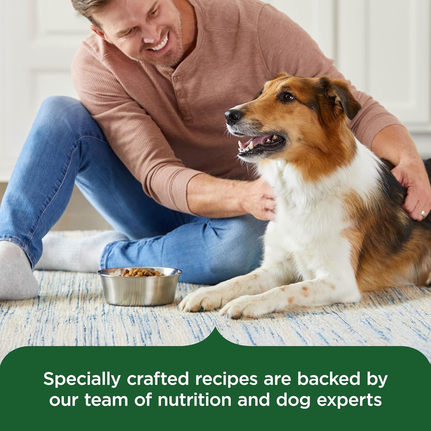 nutrish-dry-dog-food-real-chicken-veggies-40-lb-bag-rachael-ray