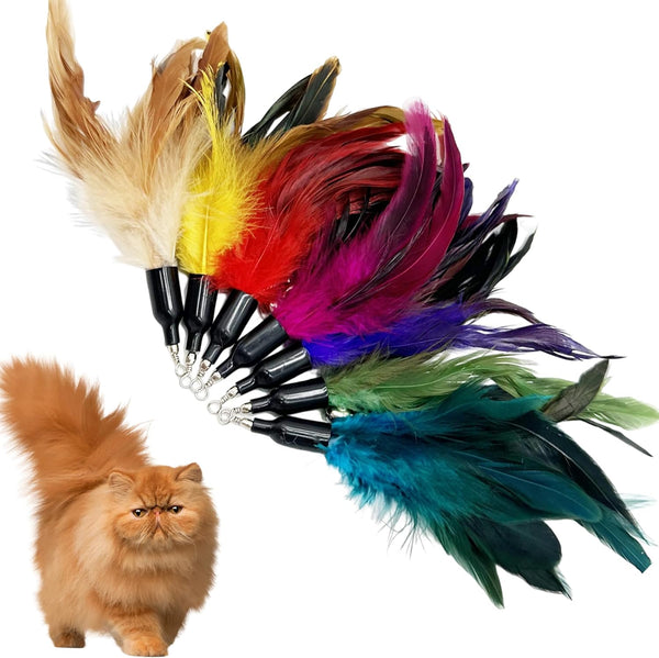 Cat Feather Toys Refill, 16 Pieces Cat Wand Replacement Feathers Toy for Indoor Cats5