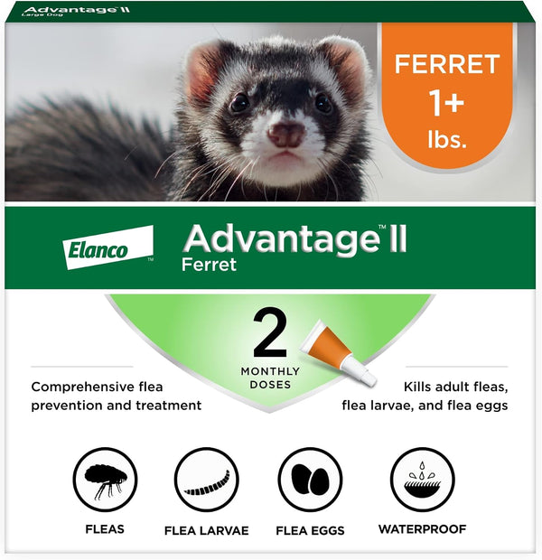 Advantage II Ferret Vet-Recommended Flea Treatment & Prevention | Ferret 1+ Lbs. | 2-Month Supply1