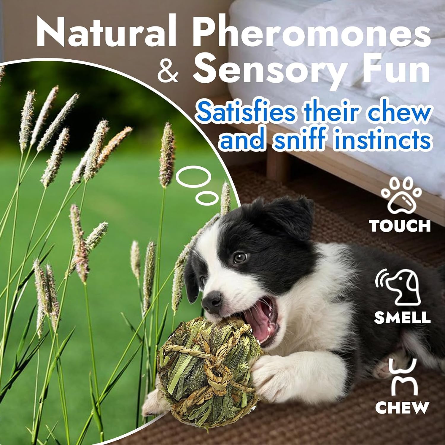 dog-chew-toys-3pcs-woven-grass-chew-ball-for-dogs-dental-teething-interactive-fetch-toys-outdoor-digestible-chew-ball-for-boredom-relief-seaweed-timothy-hay-cornsilk-cornleaf