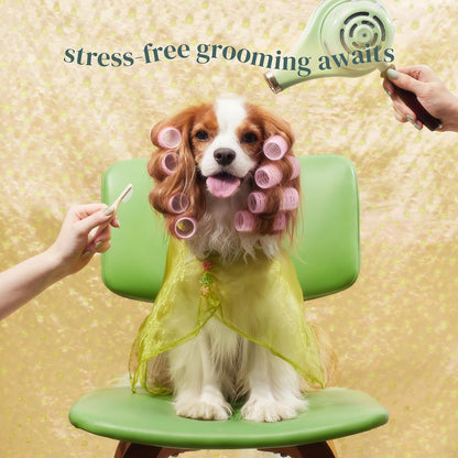 [Petora] BRUSH on ME Gentle Facial & Eye Comb for Dogs & Cats | Smooth & Stress-Free Tear Stain Remover | Fine-Tooth Grooming Tool with Rounded Tips | Comfortable Grip for Daily Pet Grooming6