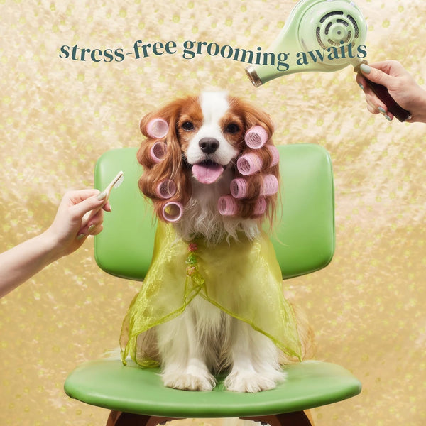 [Petora] BRUSH on ME Gentle Facial & Eye Comb for Dogs & Cats | Smooth & Stress-Free Tear Stain Remover | Fine-Tooth Grooming Tool with Rounded Tips | Comfortable Grip for Daily Pet Grooming6