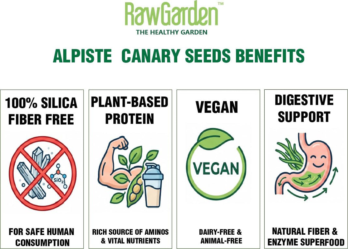 raw-garden-canary-seed-alpiste-silica-free-for-human-consumption-4-lbs-100-silica-free-plant-based-protein-vegan-milk-alternative-dietary-fiber