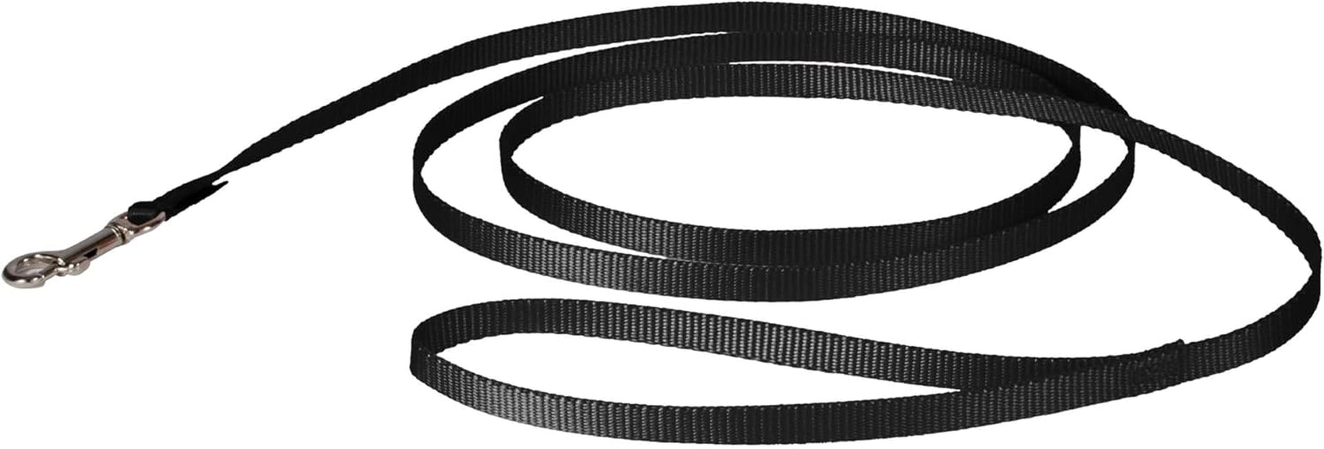 petsafe-nylon-dog-leash-strong-durable-traditional-style-leash-with-easy-to-use-bolt-snap-3-8-in-x-6-ft-black-durable-nylon-leash-with-easy-on-off-bolt-snap-hook-pairs-perfectly-with-easy-walk-harness-and-gentle-leader-headcollar