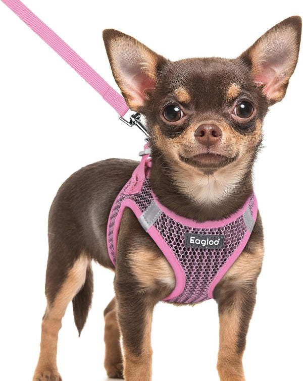 Eagloo Small Dog Harness and Leash Set, Step in Small Sized Puppy Pet Vest | Light, Soft, Breathable Air Mesh, Easy on and off with Hook & Loop, Reflective for Safe Walking, Pink, S59