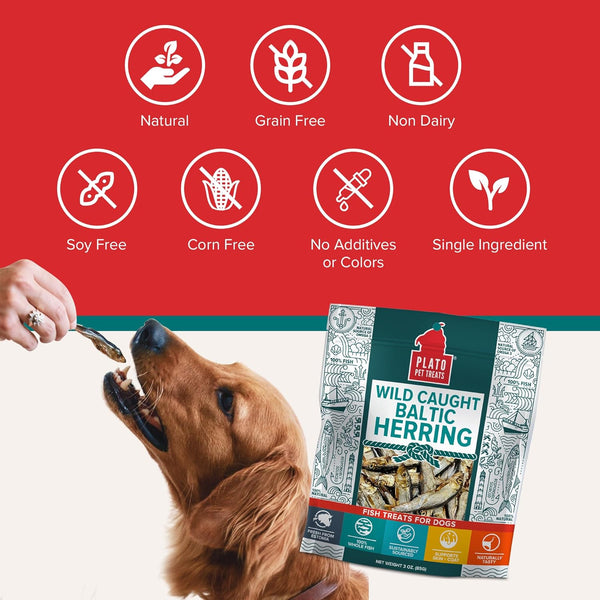Plato Pet Treats Fish Dog Treats - Air-Dried, Single Ingredient Pet Treat - Omega 3 & 6 Fatty Acids to Support Skin and Coat - 100% Whole Fish - Wild Caught Baltic Herring - 3Oz - 2 Pack6