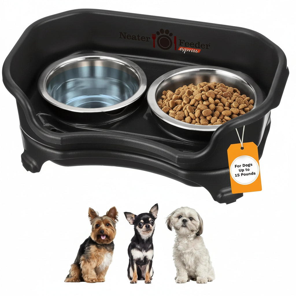 elevated-dog-feeder-with-two-stainless-steel-bowls-for-food-and-water-ideal-for-small-dogs-up-to-15-lbs