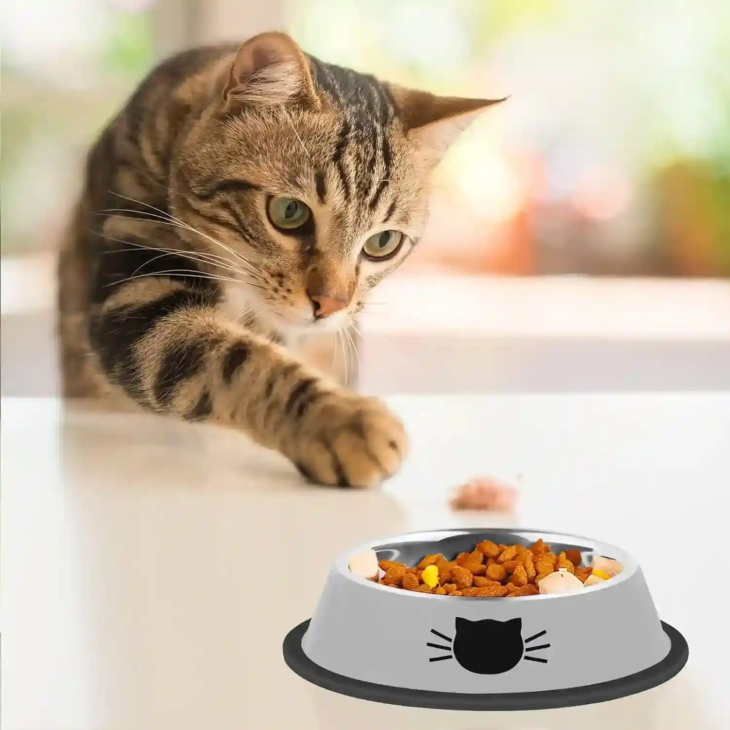 tabby-cat-reaching-for-food-in-a-cat-bowl-with-whisker-design-ideal-for-pet-feeding-essentials