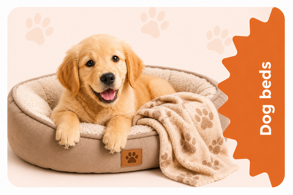 Dog Beds & Comfort for Cozy Rest and Daily Relaxation
