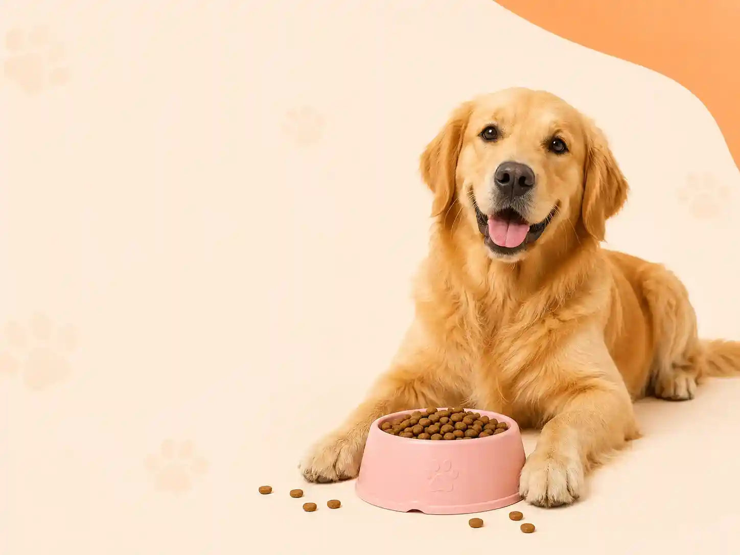 Happy golden retriever with pink dog bowl filled with kibble, ideal for daily pet feeding essentials