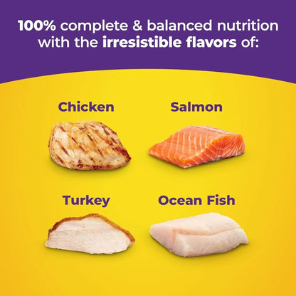 Pet food with chicken, salmon, turkey, and ocean fish flavors for balanced nutrition3