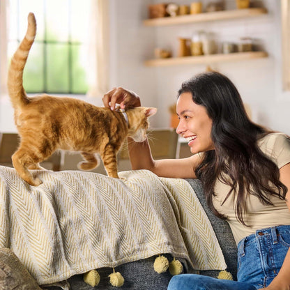 Woman petting ginger cat on cozy sofa with patterned blanket, perfect for cat lovers and pet comfort5