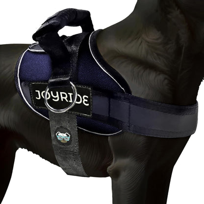 Joyride Dog Harness 2.0 | No-Pull | Blue 2.0 | M | Reflective No-Choke Quick-Fit Vest with 3 Leash Clips and Escape-Resistant Design for Easier Walks and Training9