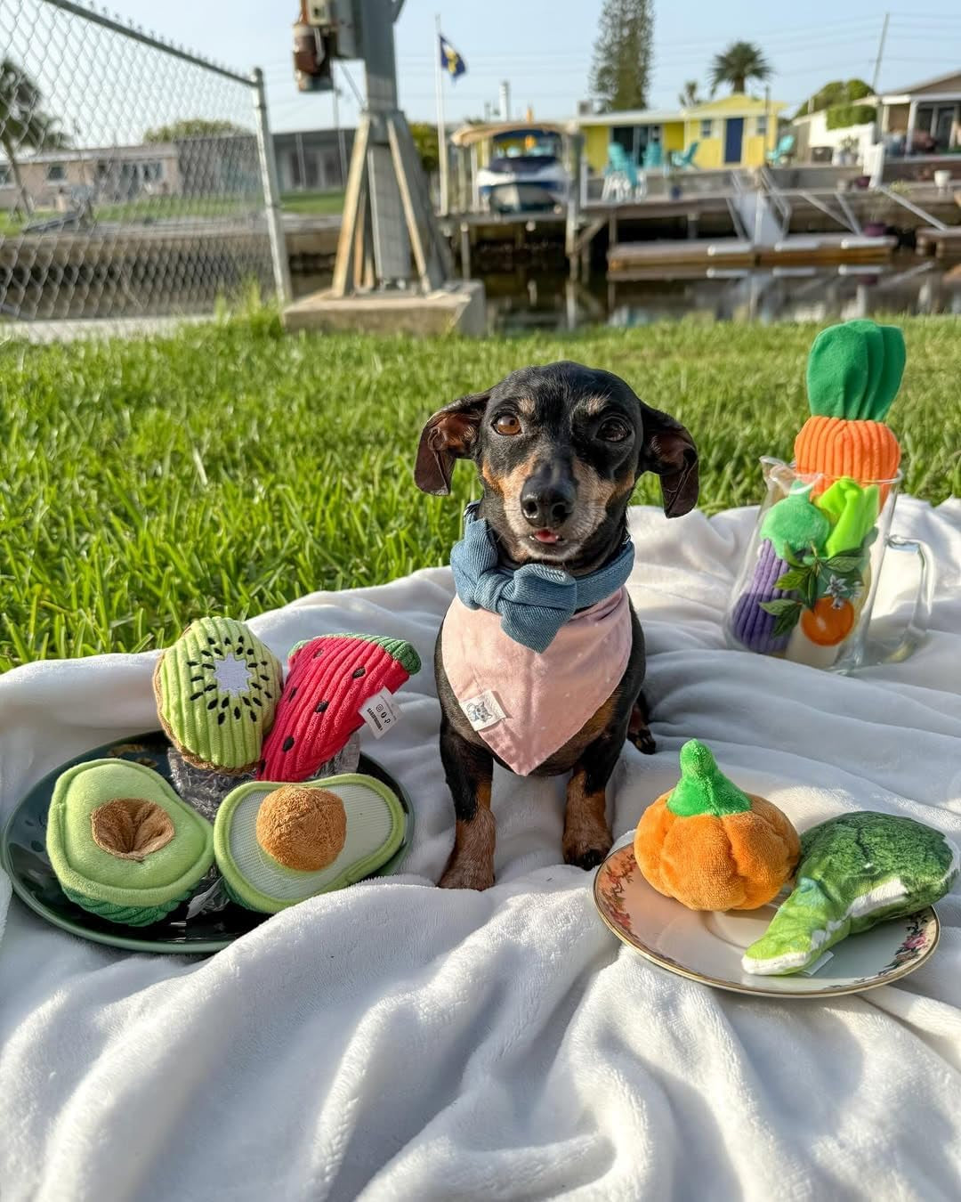 nocciola-squeaky-fruits-veggies-stuffed-dog-toys-pack-hide-seek-grocery-basket-crinkle-plush-puppy-toys-to-keep-busy-birthday-pet-supplies-gifts-for-small-medium-breeds