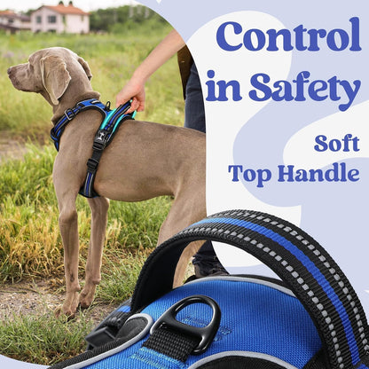 Rabbitgoo Dog Harness Medium Sized, Updated Easy on & off with 3 Buckles | No Pull No Choke, Walking with 2 Clips and Handle, Adjustable Soft Reflective, Blue, Medium5