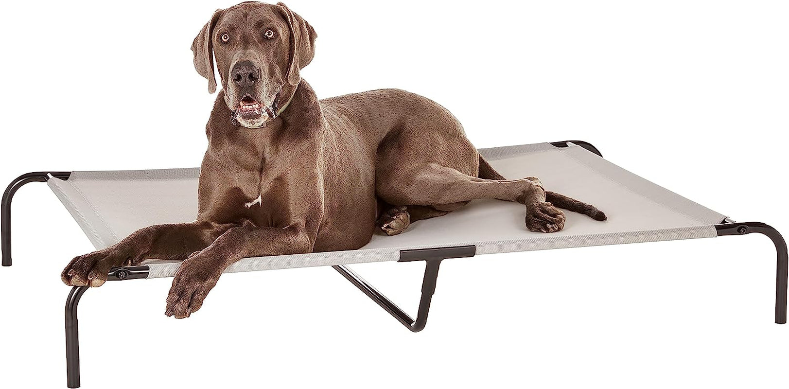 amazon-basics-cooling-breathable-elevated-dog-bed-with-metal-frame-for-large-dogs-51-x-31-x-8-grey