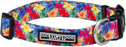 Lucky Love Dog - Easy Click Buckle Dog Collar with Leash Set Combo, Durable & Comfortable for Male & Female Dogs, Pet Collar for Medium Dogs, Secure Fit - Blackbird Combo, Medium38