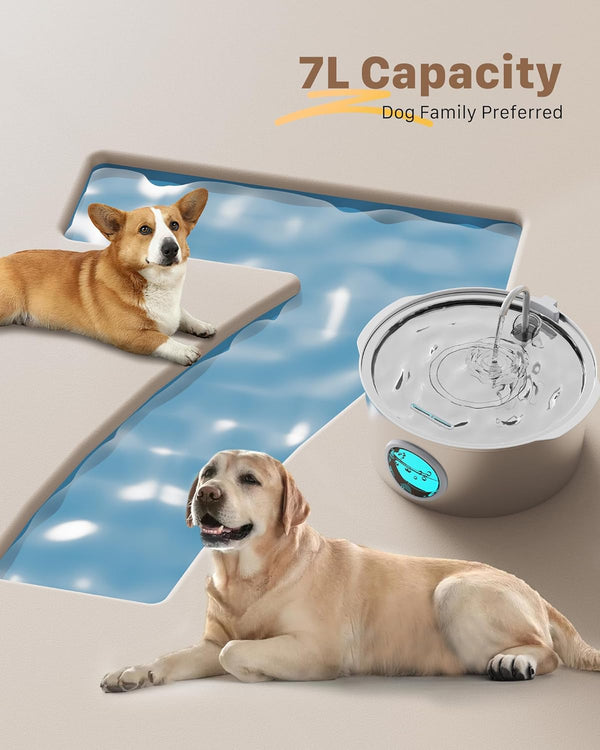 Dog Water Fountain for Large Dogs: 7L/236Oz/1.8G Dog Fountain Stainless Steel - Big Cat Drinking Fountain Indoor - Super Quiet Water Fountain for Dogs inside - for Large Dog Cats & Multi-Pet Home4