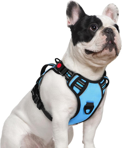 Rabbitgoo Large Dog Harness, Easy Wear with 3 Buckles and Lift Handle | No Pull with Front Clip for Walking, Adjustable Soft Padded, Reflective, Easy Control, Pink, Large37